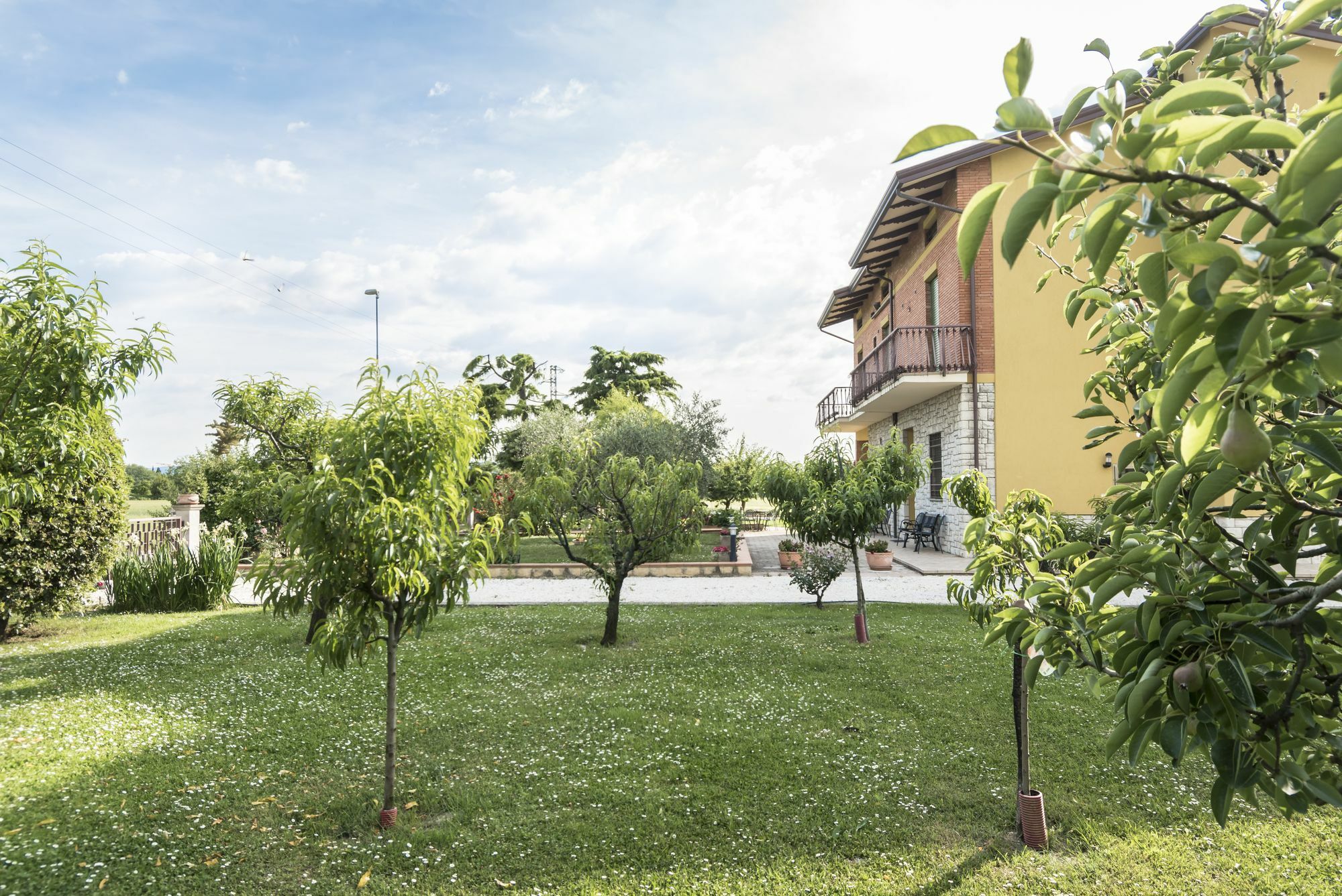Camere Mariella Assisi Exterior photo