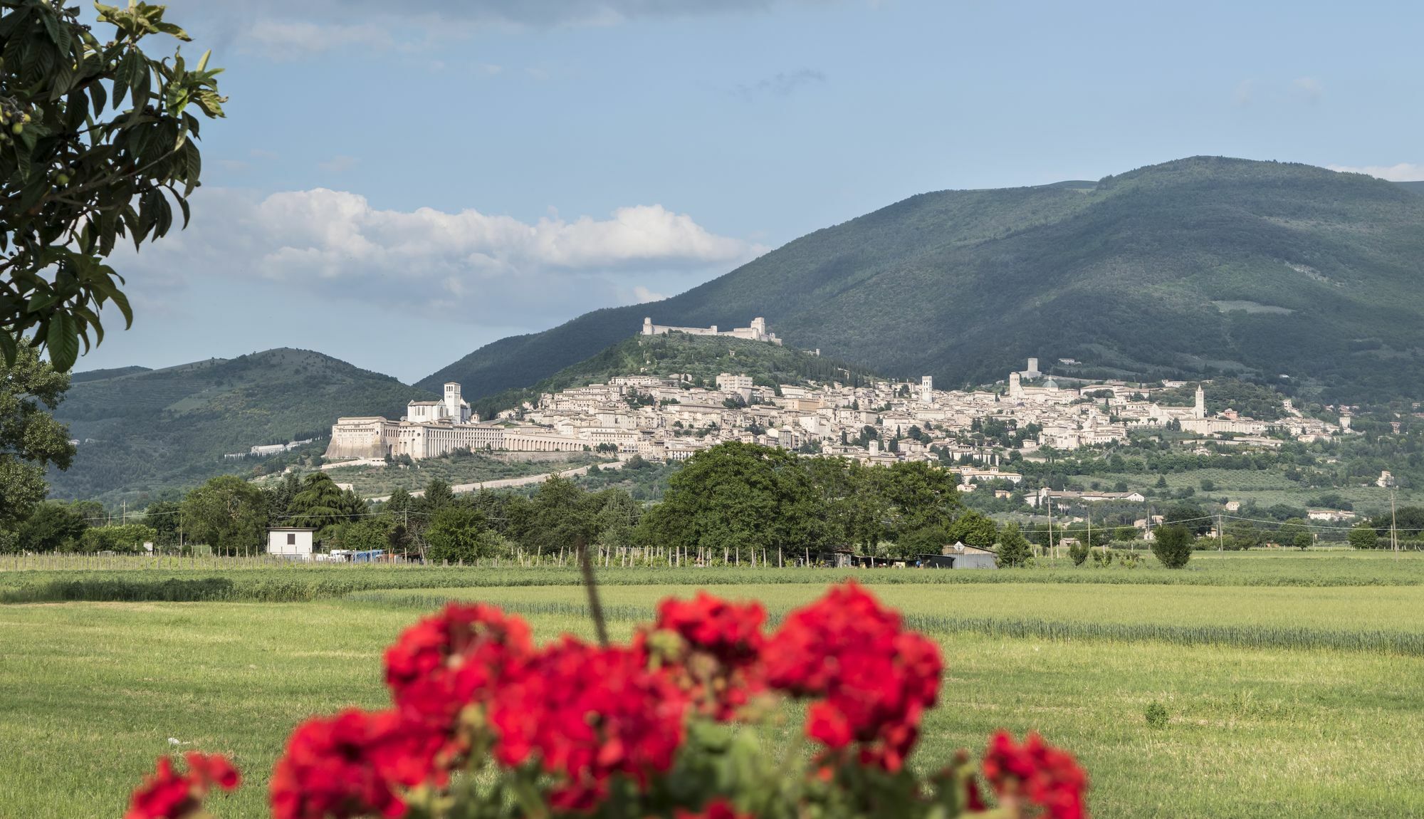 Camere Mariella Assisi Exterior photo