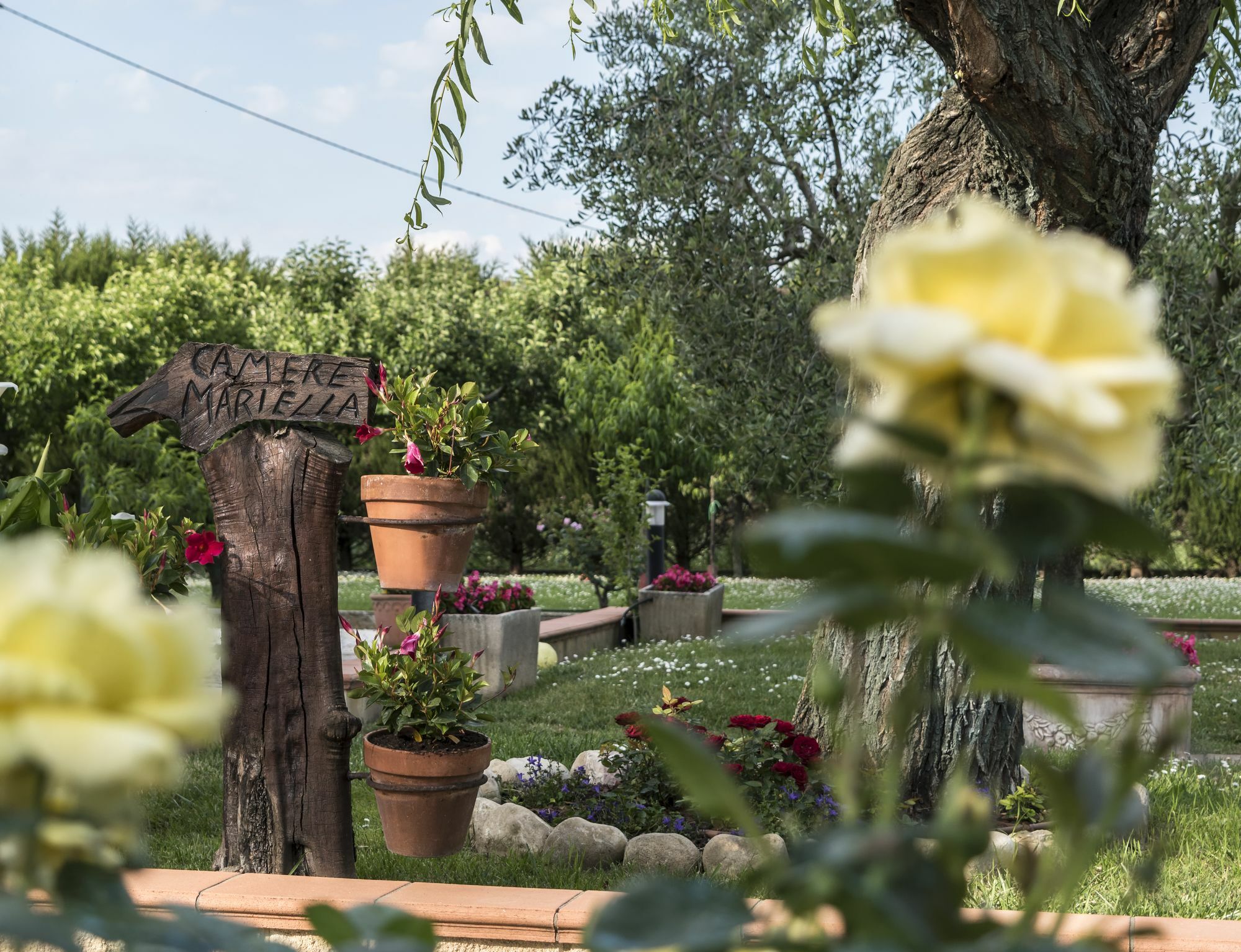 Camere Mariella Assisi Exterior photo